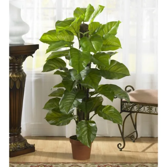 Philodendron In Terra Cotta Planter, 4 Ft.-Kirkland's Home Sale