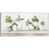 Plant Shelf Life Framed Canvas Art Print-Kirkland's Home Discount