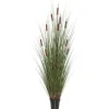 Potted Brown Cats Tails Grass, 48 In.-Kirkland's Home Flash Sale