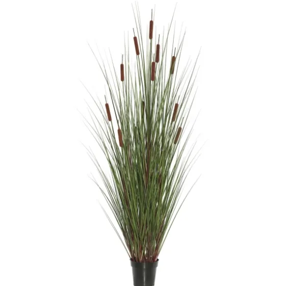 Potted Brown Cats Tails Grass, 48 In.-Kirkland's Home Flash Sale