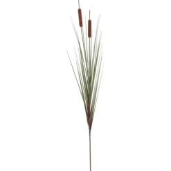 Potted Brown Cats Tails Grass, 48 In.-Kirkland's Home Flash Sale
