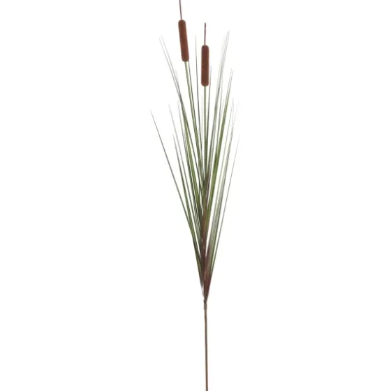 Potted Brown Cats Tails Grass, 48 In.-Kirkland's Home Flash Sale