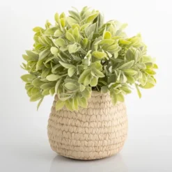 Potted Ery Arrangement In Ceramic Vase-Kirkland's Home New