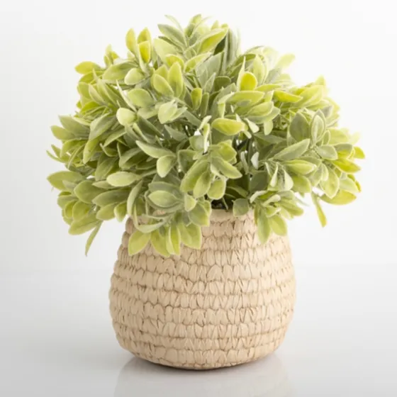 Potted Ery Arrangement In Ceramic Vase-Kirkland's Home New