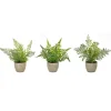 Potted Fern Arrangements, Set Of 3-Kirkland's Home Cheap