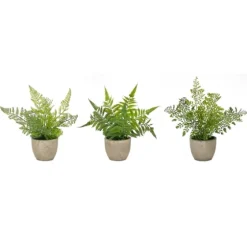 Potted Fern Arrangements, Set Of 3-Kirkland's Home Cheap