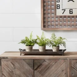 Potted Fern Arrangements, Set Of 3-Kirkland's Home Cheap