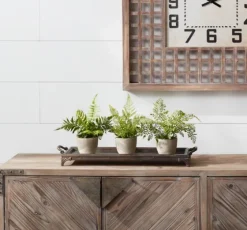 Potted Fern Arrangements, Set Of 3-Kirkland's Home Cheap