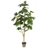 Potted Fig Fruit Tree, 4 Ft.-Kirkland's Home Discount