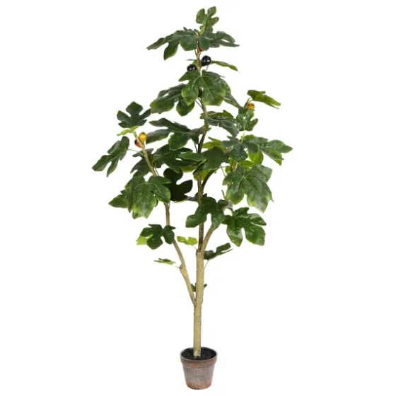 Potted Fig Fruit Tree, 4 Ft.-Kirkland's Home Discount