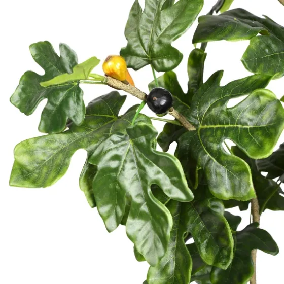 Potted Fig Fruit Tree, 4 Ft.-Kirkland's Home Discount