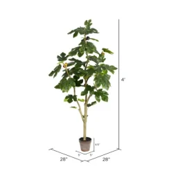 Potted Fig Fruit Tree, 4 Ft.-Kirkland's Home Discount