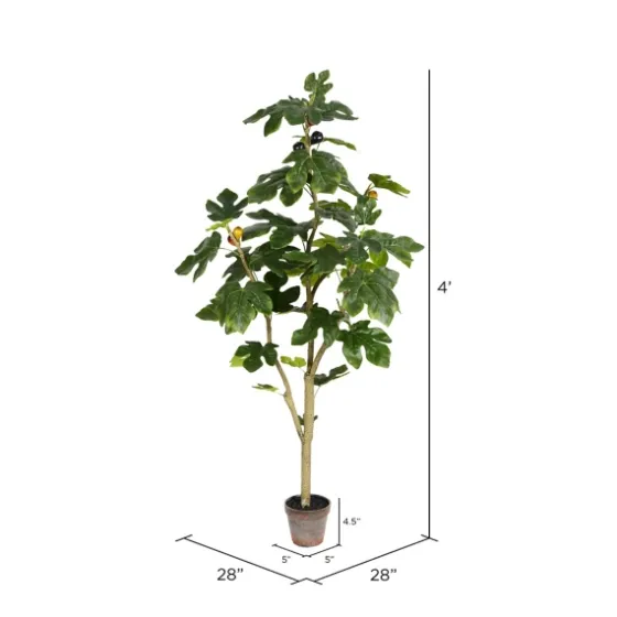 Potted Fig Fruit Tree, 4 Ft.-Kirkland's Home Discount