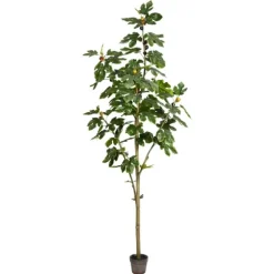 Potted Fig Tree, 7 Ft.-Kirkland's Home Online