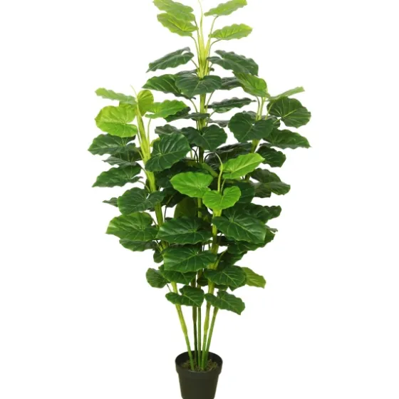 Potted Green Philodendron Tree-Kirkland's Home Online