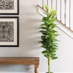 Potted Green Philodendron Tree-Kirkland's Home Online