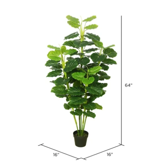 Potted Green Philodendron Tree-Kirkland's Home Online