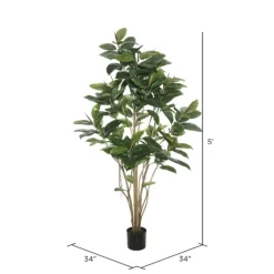 Potted Green Rubber Tree, 5 Ft.-Kirkland's Home Shop