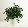 Potted Greenery Mix Arrangement, 15 In.-Kirkland's Home Store