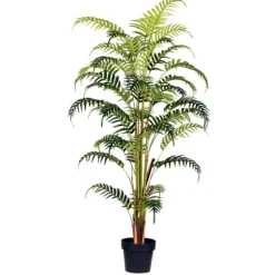 Potted Large Leaf Fern Palm Plant, 59 In.-Kirkland's Home Cheap