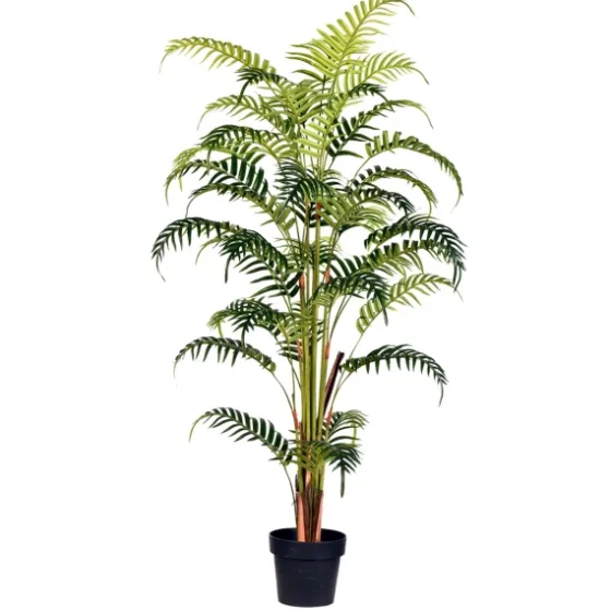 Potted Large Leaf Fern Palm Plant, 59 In.-Kirkland's Home Cheap