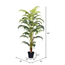 Potted Large Leaf Fern Palm Plant, 59 In.-Kirkland's Home Cheap