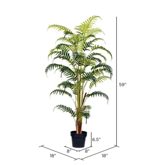 Potted Large Leaf Fern Palm Plant, 59 In.-Kirkland's Home Cheap
