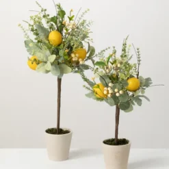 Potted Lemon And Berry Herb Trees, Set Of 2-Kirkland's Home Outlet