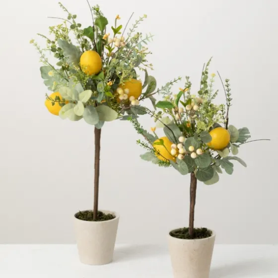 Potted Lemon And Berry Herb Trees, Set Of 2-Kirkland's Home Outlet