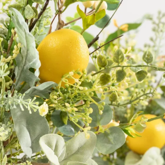 Potted Lemon And Berry Herb Trees, Set Of 2-Kirkland's Home Outlet