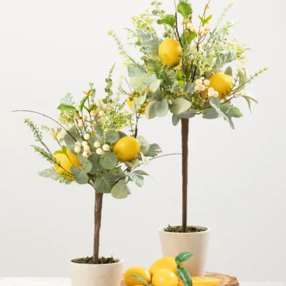 Potted Lemon And Berry Herb Trees, Set Of 2-Kirkland's Home Outlet