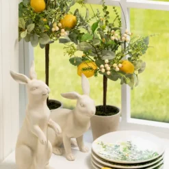 Potted Lemon And Berry Herb Trees, Set Of 2-Kirkland's Home Outlet