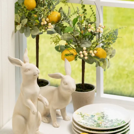 Potted Lemon And Berry Herb Trees, Set Of 2-Kirkland's Home Outlet