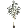 Potted Olive Branch Tree, 6 Ft.-Kirkland's Home Online