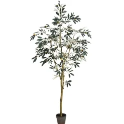 Potted Olive Branch Tree, 6 Ft.-Kirkland's Home Online