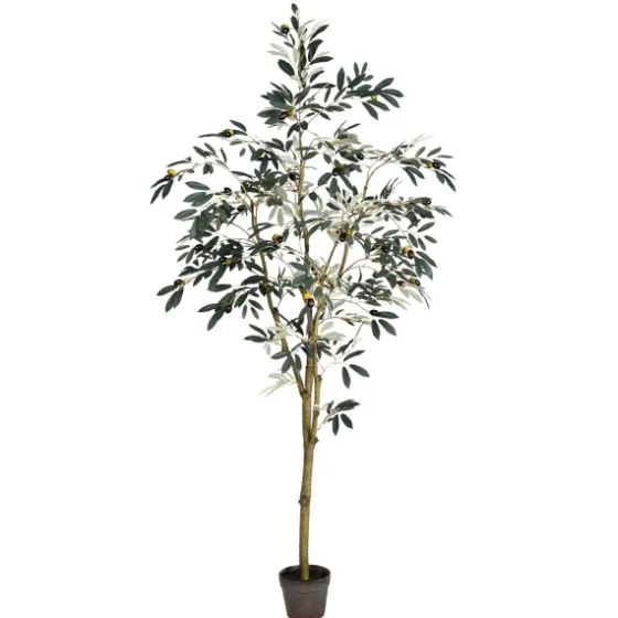 Potted Olive Branch Tree, 6 Ft.-Kirkland's Home Online