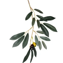 Potted Olive Branch Tree, 6 Ft.-Kirkland's Home Online