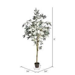 Potted Olive Branch Tree, 6 Ft.-Kirkland's Home Online