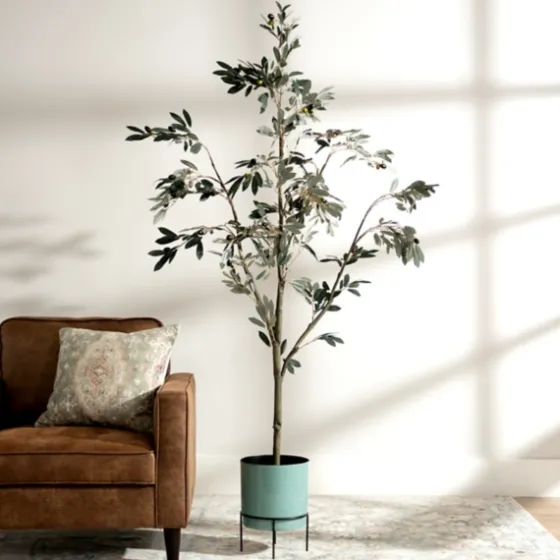 Potted Olive Branch Tree, 6 Ft.-Kirkland's Home Online