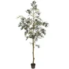 Potted Olive Tree, 7 Ft.-Kirkland's Home Cheap