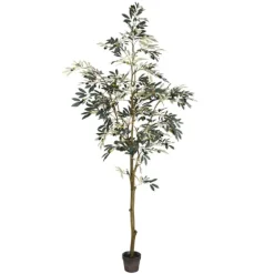Potted Olive Tree, 7 Ft.-Kirkland's Home Cheap