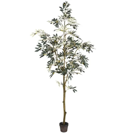 Potted Olive Tree, 7 Ft.-Kirkland's Home Cheap