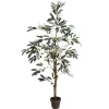 Potted Olive Tree, 4 Ft.-Kirkland's Home Flash Sale