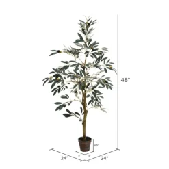 Potted Olive Tree, 4 Ft.-Kirkland's Home Flash Sale