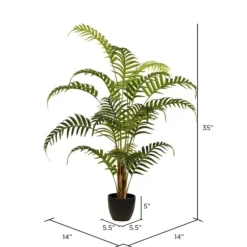 Potted Small Leaf Fern Palm Plant, 35 In.-Kirkland's Home Fashion
