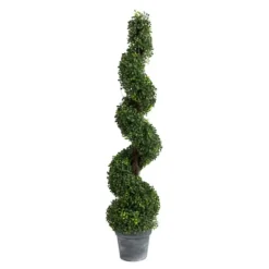 Potted Spiral Boxwood Tree-Kirkland's Home Discount