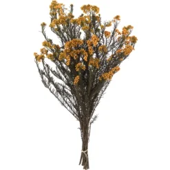 Preserved Aspen Rice Flower Bundle-Kirkland's Home Best