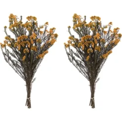 Preserved Aspen Rice Flower Bundle-Kirkland's Home Best