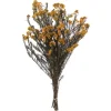 Preserved Autumn Rice Flower Bundle-Kirkland's Home Outlet