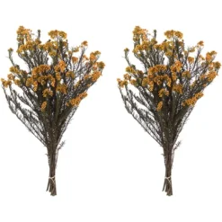 Preserved Autumn Rice Flower Bundle-Kirkland's Home Outlet